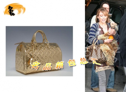 M95272 LV����� LV��Ƥ���� LV��(j��ng)���ϻ� LVŮ��  LV����