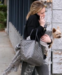 2376 ��̖(h��o) Goyard  ����� Goyard ���¿� Goyard �r(sh��)��Ů�� ���� �μ��