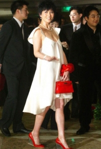 H008 Hermes ��֦�yŮ�� Hermes��(j��ng)��� Kelly �P��� ����� ����� �tɫ