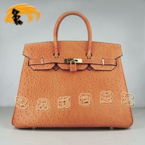 6089 ���R���¿��r�B�yŮ�� Hermes Birkin �K��� Hermes����� ��ɫ���