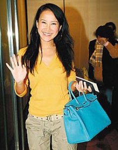 6089 Hermes Birkin �K��� ���R�˽�����֦�y ����� 35 HermesŮ�� �\�{�y��