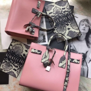 ʥ�_�m���� SLP 2017�پW�¿��L�ٰ�����ƴɫ