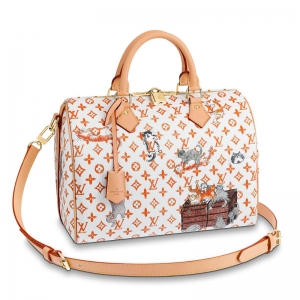 M44400 LV SPEEDY 30 �ִ�����玧��LVŮ�� Catogram �D��Ů�� LV���^��