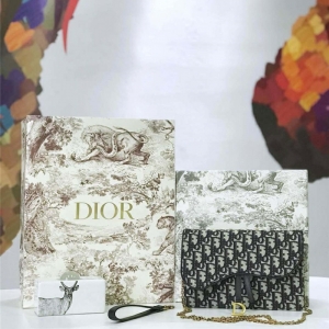 M5620 Dior ObliqueŮ�� �Ứ���� �ϊW朗l�� Dior���ð� �Һ�ɫ
