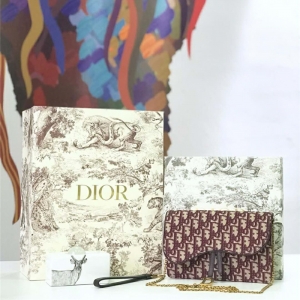 M5620 Dior ObliqueŮ�� �Ứ���� �ϊW朗l�� Dior���ð� �Ƽtɫ