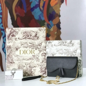 M5620 Dior Saddleϵ��Ů�� woc���� СţƤ �ϊW朗l�� Dior���ð� ��ɫ
