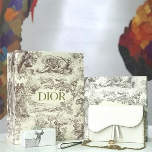 M5620 Dior Saddleϵ��Ů�� woc���� СţƤ �ϊW朗l�� Dior���ð� ��ɫ