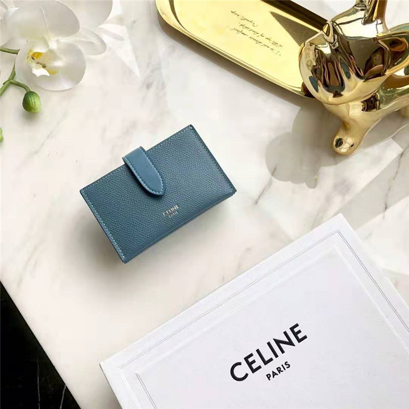 10B693 Celineِ�տ��� ����СţƤ Celine�L(f��ng)���޿��� �F���{(l��n)