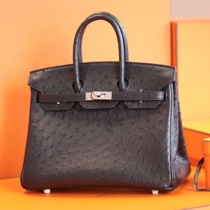 Hermes Birkin 25 ���R���K��� ���ֹ����ư� �r�BƤ ��ɫ