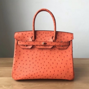 Hermes Birkin 25 ���R���K��� ���ֹ����ư� �r�BƤ ��ɫ