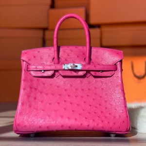 Hermes Birkin 25 ���R���K��� ���ֹ����ư� �r�BƤ õ�tɫ