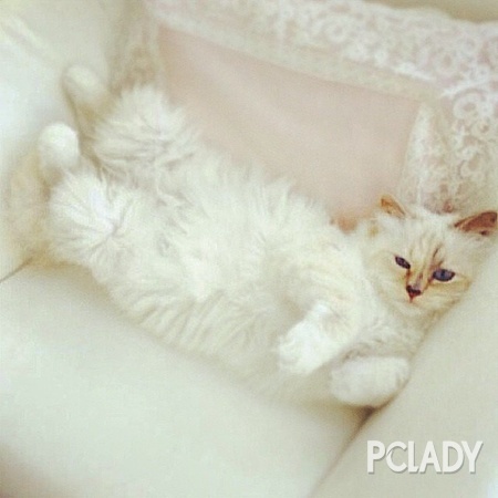 �P��Chanel ���΃��㲻�ɲ�֪����20����