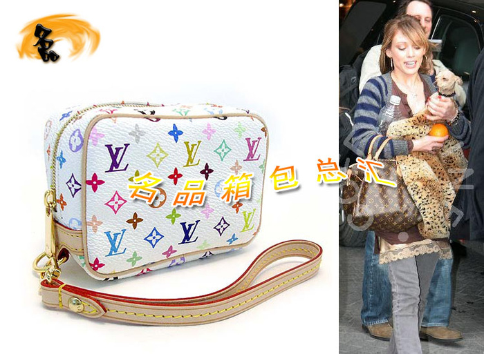 M58033 LV相機包 LV村上隆設計 LV經典三三彩 LV33彩 LV女包