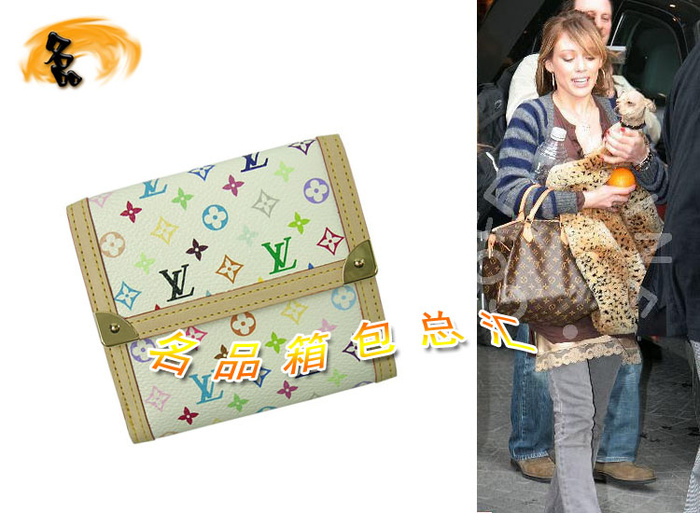 M92983 世紀奢華 LV經典款 LV33彩 LV三三彩 LV女包 LV錢包