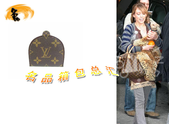 M61960 LV錢包 世紀奢華 LV經典老花 LV女包 LV零錢包 LV包包