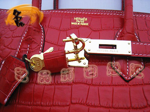 6089 Hermes最新款 時尚女士 手提包 Hermes Birkin 鉑金包 鱷魚紋 35 Birkin