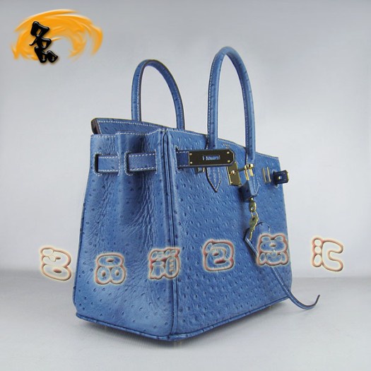 6088 ���R��Ů�� Hermes Birkin �K��� Hermes����� �r�B�y��� �{ɫ