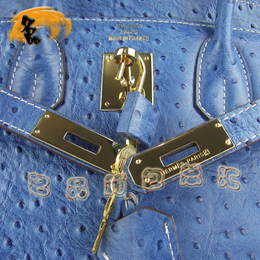 6088 ���R��Ů�� Hermes Birkin �K��� Hermes����� �r�B�y��� �{ɫ