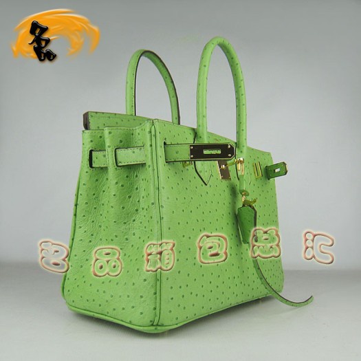 6088 ���R��Ů�� Hermes Birkin �K��� Hermes����� �r�B�yƤ��� �Gɫ