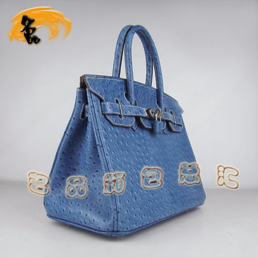 6088 ���R��Ů�� Hermes Birkin �K��� Hermes����� �r�B�y�y�� �{ɫ
