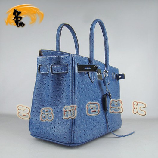 6088 ���R��Ů�� Hermes Birkin �K��� Hermes����� �r�B�y�y�� �{ɫ
