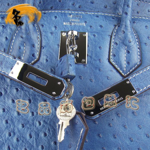 6088 ���R��Ů�� Hermes Birkin �K��� Hermes����� �r�B�y�y�� �{ɫ