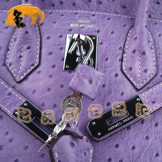 6088 ���R��Ů�� Hermes Birkin �K��� Hermes����� �r�B�y�y�� ��ɫ