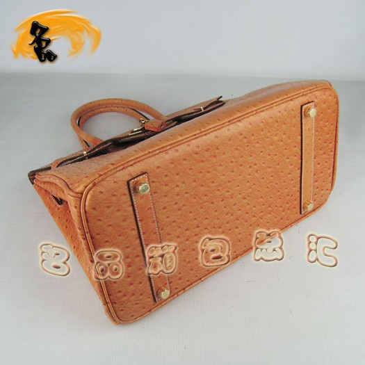 6089 ���R���¿��r�B�yŮ�� Hermes Birkin �K��� Hermes����� ��ɫ���