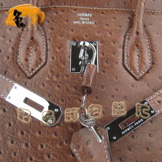 6089 Hermes Birkin 鉑金包 35 Birkin 鴕鳥紋女包 Hermes手提包 淺啡色銀扣