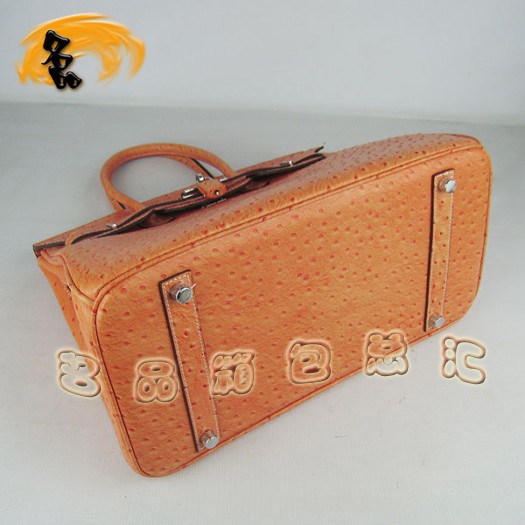6089 ���R���¿��r�B�yŮ�� Hermes Birkin �K��� Hermes����� ��ɫ�y��