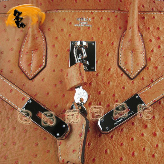 6089 ���R���¿��r�B�yŮ�� Hermes Birkin �K��� Hermes����� ��ɫ�y��