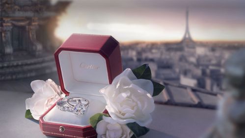 05e3ca43b95f8e50d3df592cc6bcae3a9f220d22213bf-s8eXms_fw580