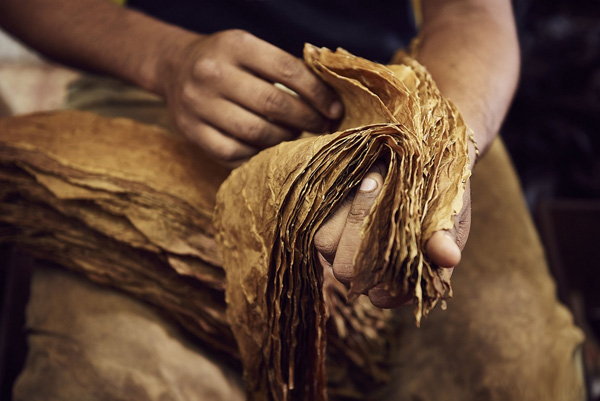 �����r�l����˹��ѩ��50�����؄e�����