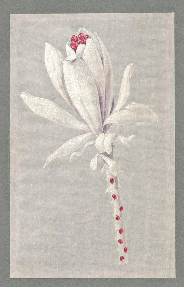 ��������l��La Nature de CHAUMET �߶��錚