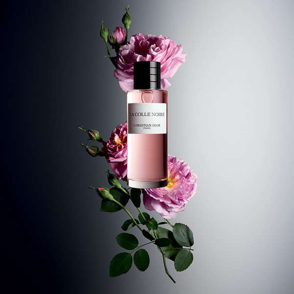 �ϊWȫ��La Colle Noire��޹ ��ů��õ�廨��